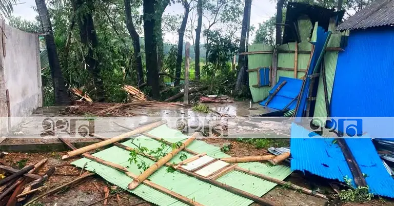 ঝড়ে লণ্ডভণ্ড হয়ে যাওয়া ঘরবাড়ি